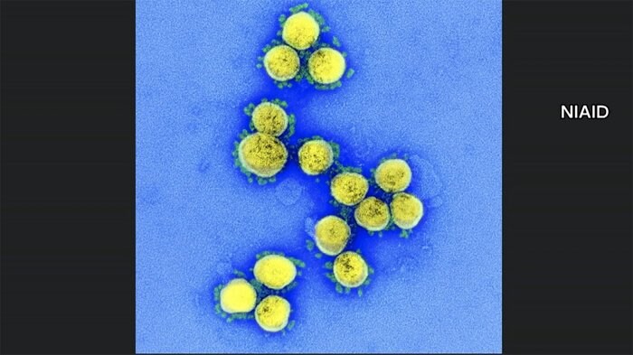 新型コロナ 東京都で新たに429人の感染確認