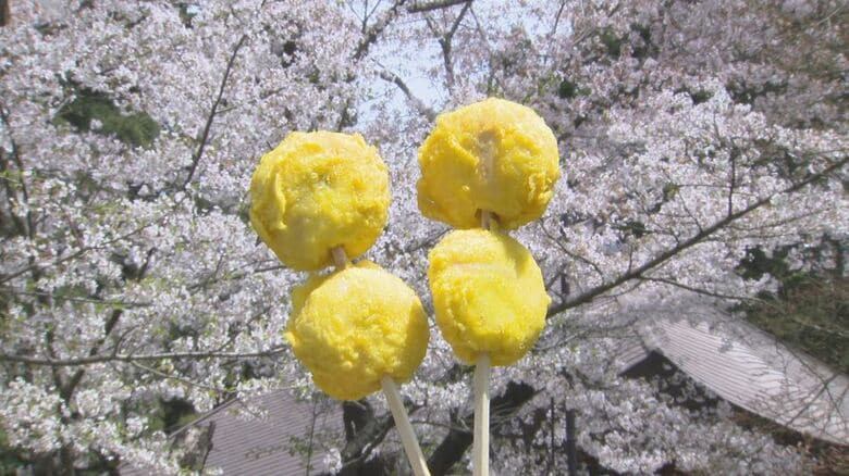 名物「あげまん」と散り始めの桜　残雪の北信五岳も　長野県中野市・東山公園｜FNNプライムオンライン