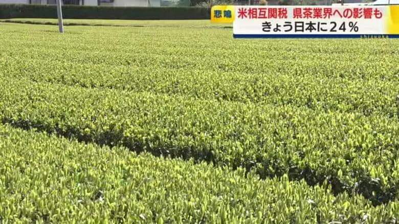 トランプ関税の余波…茶業界が戦々恐々　海外への輸出をさらに推し進めようと動き出した矢先に　最大の取引国はアメリカ｜FNNプライムオンライン
