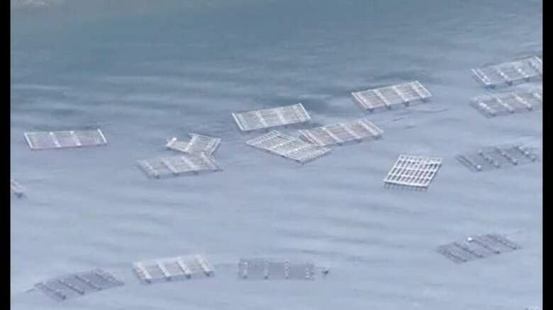 【カムチャツカ半島沖地震】津波による宮城県内の被害額が１０００万円を超える　養殖カキなど落下｜FNNプライムオンライン