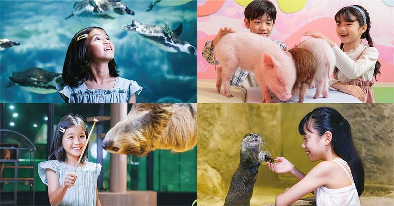 【DMMかりゆし水族館】ゴールデンウィーク期間（12日間）の入館者数が過去最高の3万人強を達成！