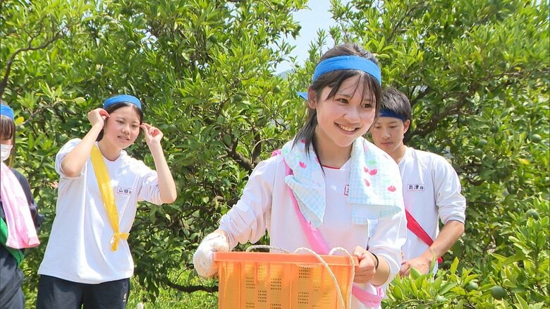 農作業をスポーツにしたら…女子高校生たちが&quot;珍提案&quot;　ミカン拾い競争で農家は助かり観光客も楽しめる？【静岡発】｜FNNプライムオンライン