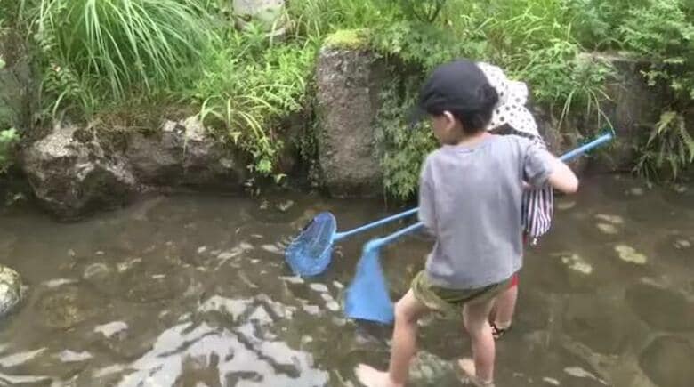 アユのつかみ取り体験も…愛知県豊田市で「香嵐渓一の谷フェスタ」地元の飲食店やキッチンカーが出店し賑わう｜FNNプライムオンライン