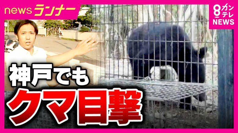 え!神戸にクマ“初出没” ツキノワグマの成獣か「よその県の話かと思ってた」と地元住民 『天橋立』でも新しいクマの目撃情報 一時通行止めに|FNNプライムオンライン