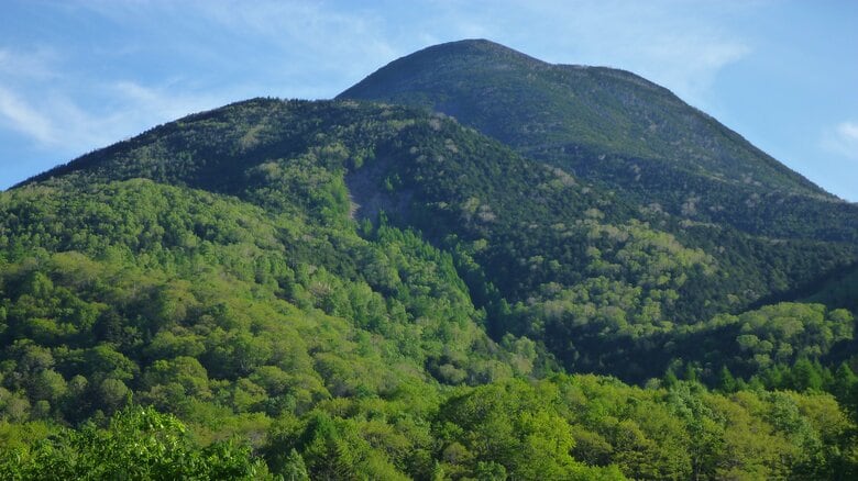 「下山中に転倒して身動きがとれない」東京都の62歳男性をヘリコプターで救助　八ヶ岳連峰の蓼科山で遭難　右の膝付近を負傷している模様｜FNNプライムオンライン