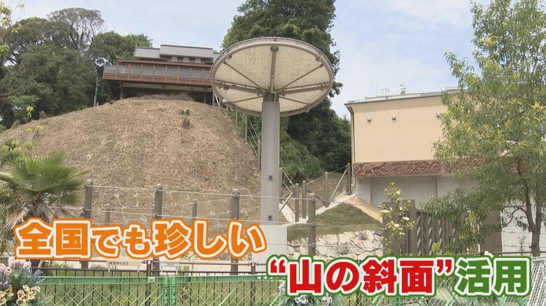 全国でも珍しい山の斜面を利用した飼育エリア