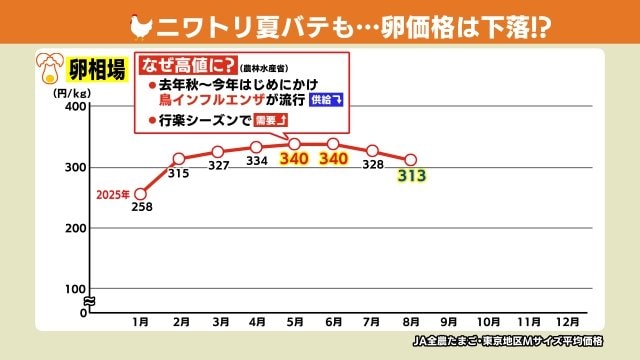鶏卵価格の推移