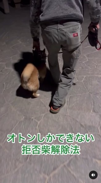 提供：カンさん