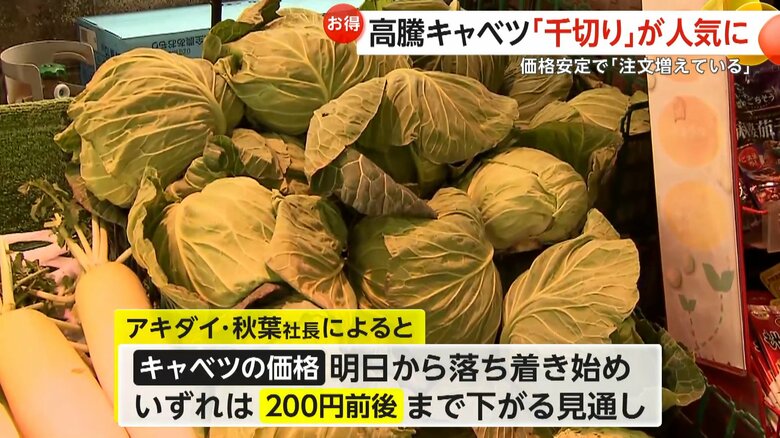 いずれは200円前後まで下がる見通しだというキャベツの価格