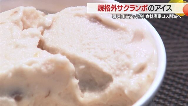 贈り物や夏のデザートとして特別感のあるこのアイスはスイーツ好きの人におすすめ