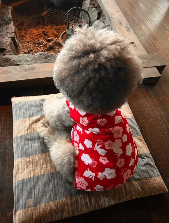 提供：レノン&れあるさん