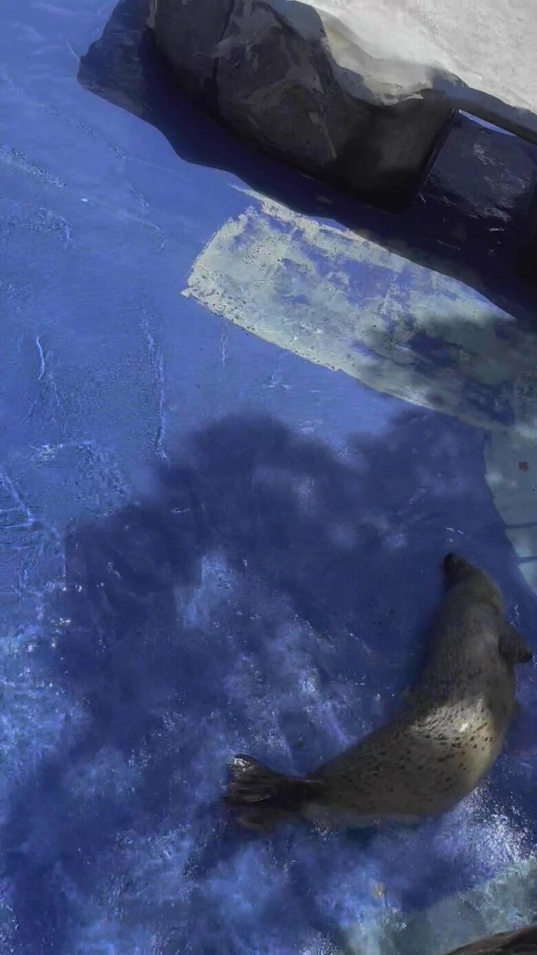 （提供：名古屋市東山動植物園）