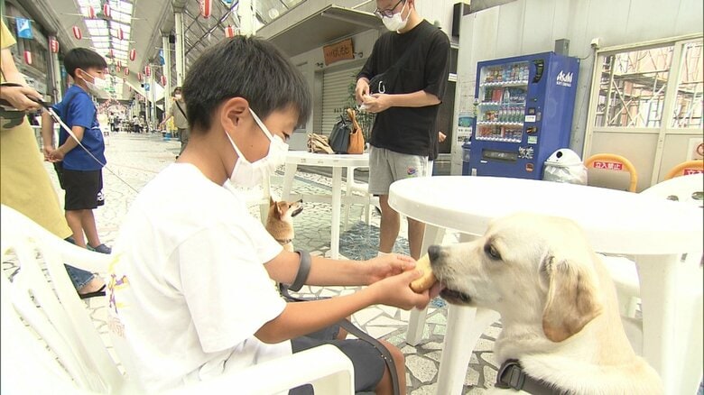 おやつえん橋本さん「（飼い主は）同じものを食べたいのでは」