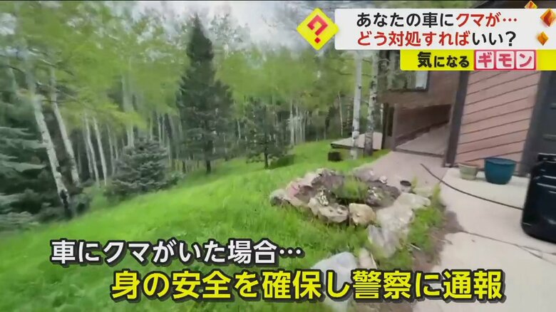 （Colorado Parks and Wildlife/TMX）