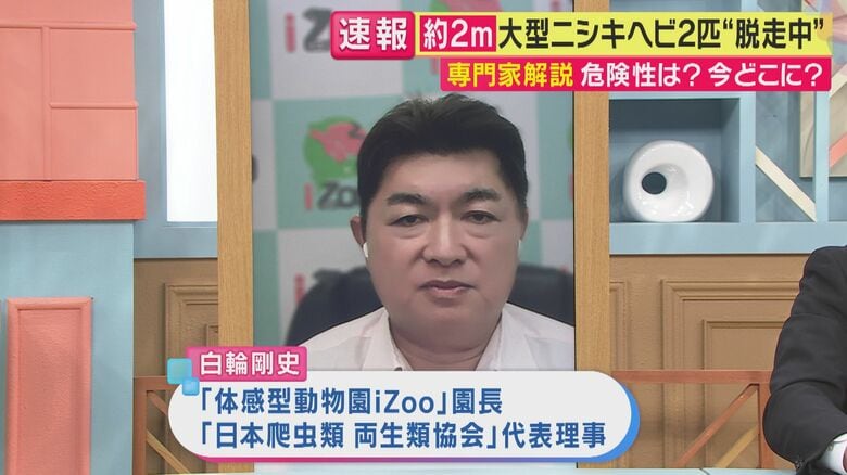 体感型動物園「iZoo」園長の白輪剛史さん（関西テレビ「旬感LIVE とれたてっ！」より）