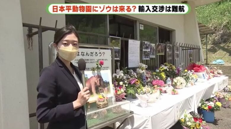 献花台は多くの花や手紙でいっぱいに