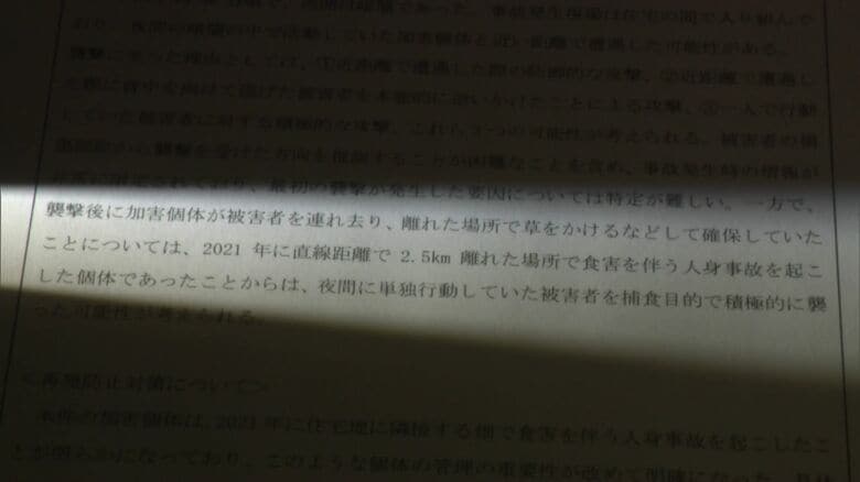 道の資料