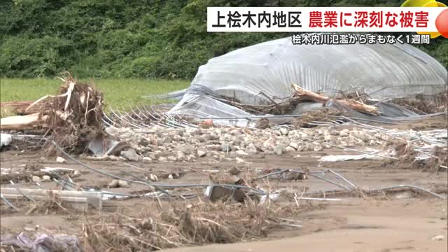 川の氾濫で倒壊した農業用ハウス