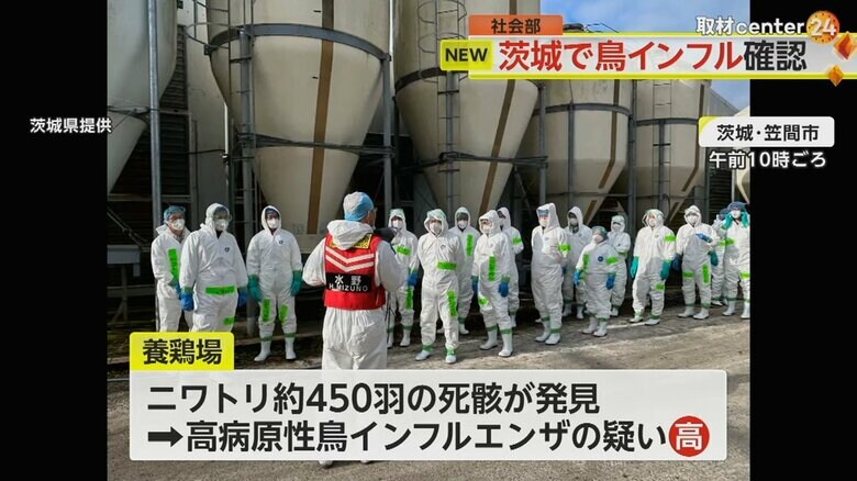 養鶏場で飼育されている約7万2000羽のニワトリの殺処分を開始