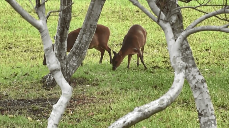 （2021年9月取材）