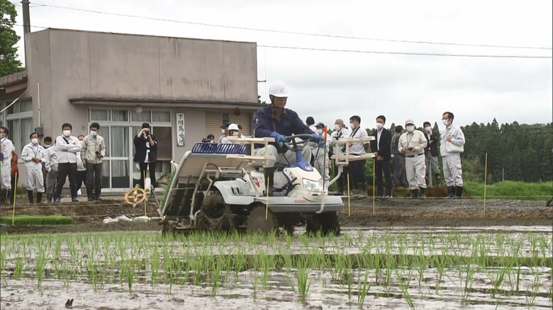 原発事故後初めてのコメ作り