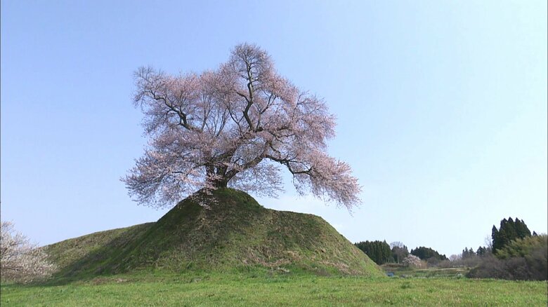 舞台に立つように見えるという人も