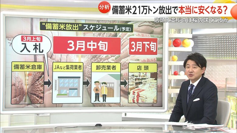 “備蓄米放出”のスケジュール（予定）