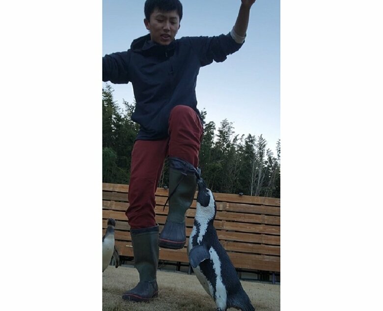 その後も視界に入る度にガンくんは追ってきたという