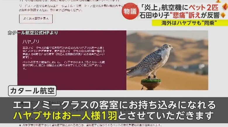 カタール航空公式HPより