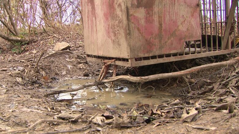 箱罠の周りには地面を掘った形跡が