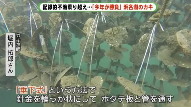 針金を輪にしてホタテ殻と管を通す