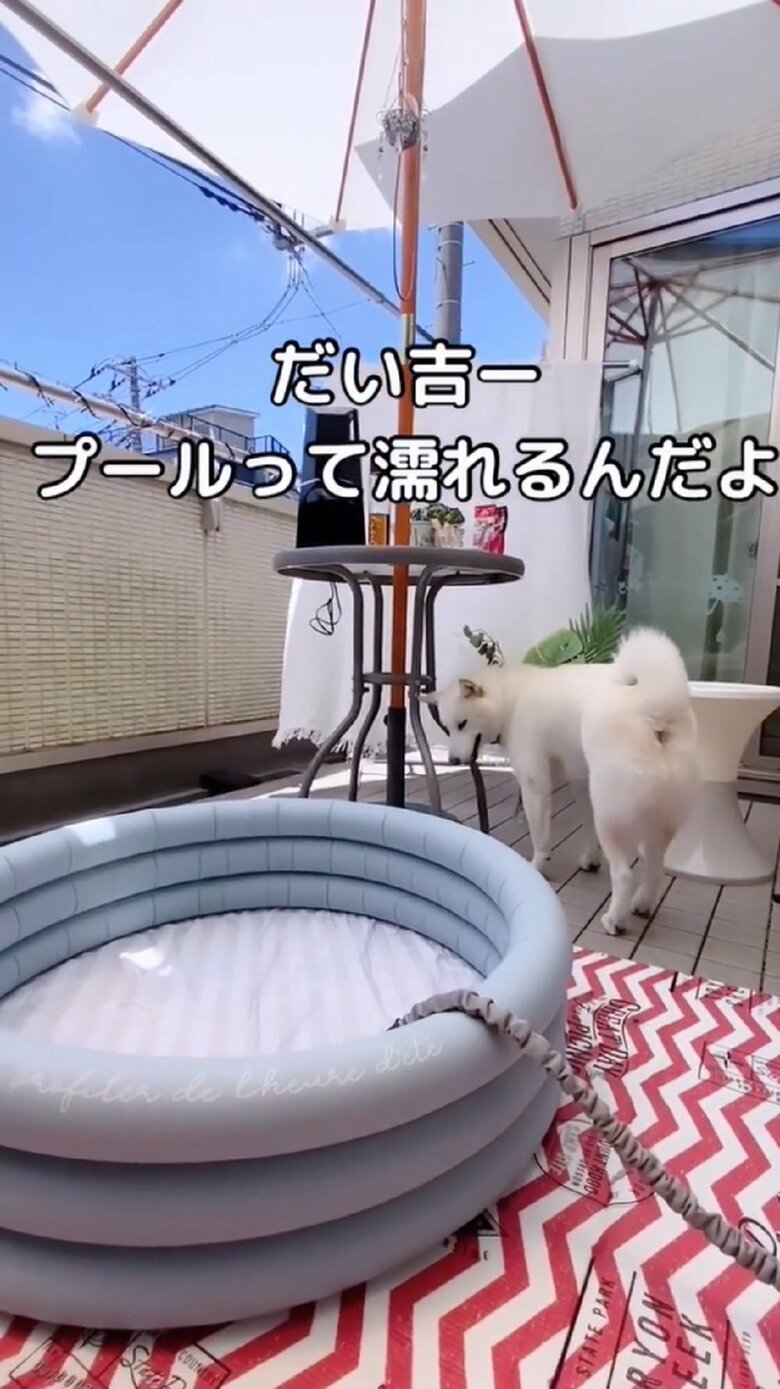 プールへの興味はなくなってしまったという