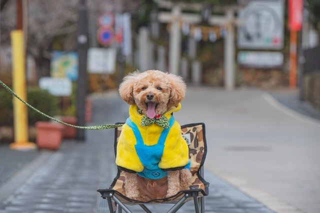 （画像はイメージ）