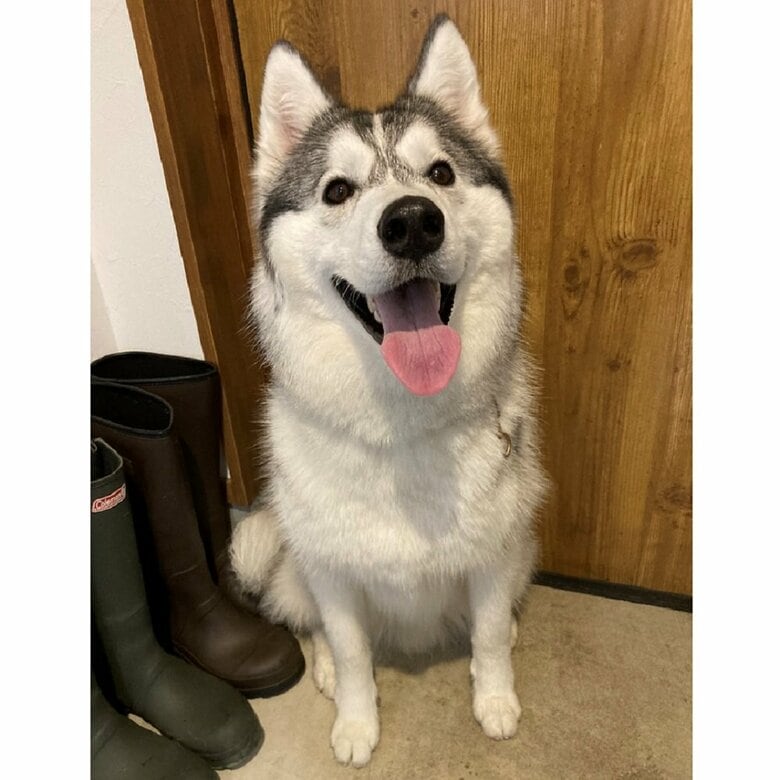 ニコニコ顔の硯くん