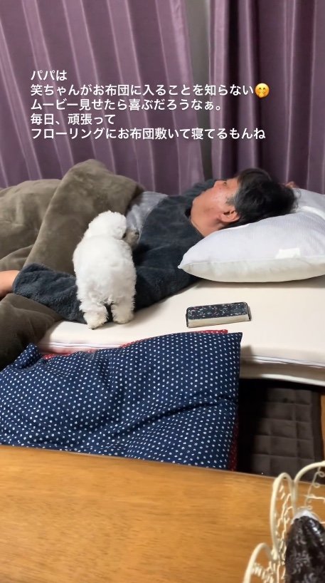 提供：＠tanaka.akemi1225