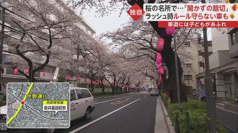 桜の名所として有名な東京・中野区の新井薬師寺駅前（西武新宿線）