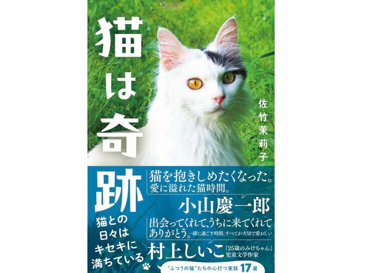 『猫は奇跡』（辰巳出版）