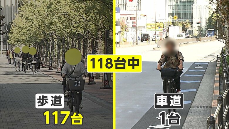 正午から1時間、ウォッチングした結果