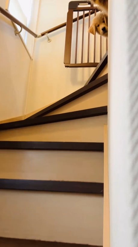 提供：efrinmanさん