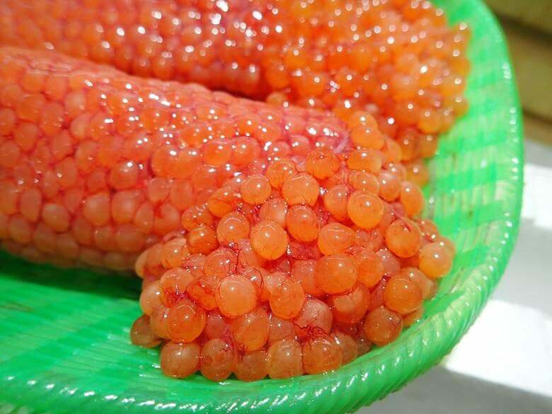 新鮮な生の筋子（画像提供：魚食普及推進センターHP）