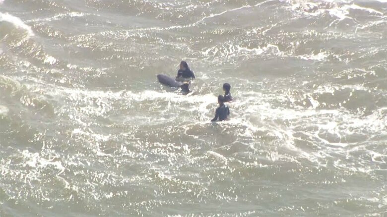 現場では、サーファーらがイルカを海に戻そうとする様子が見られた。