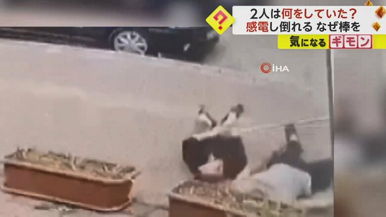 倒れてからも動く様子がない