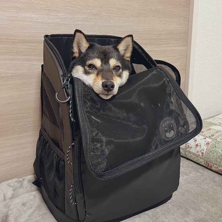 自ら入って少し不満げな表情