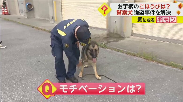 現場に残された犯人の履物のにおいから逃走ルートを割り出したレグルス