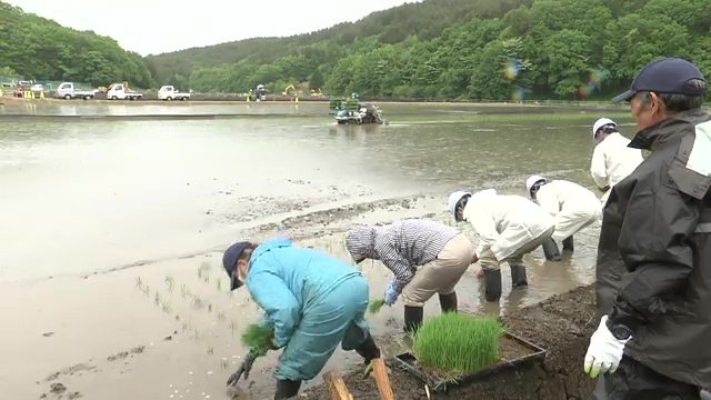 福島県で行われている農地での実証事業