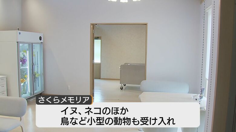 鳥など小型動物も受け入れる