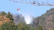 神奈川・日向山の山火事は発生から丸一日も消火活動続く　近隣住民からは不安の声