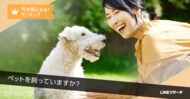 【LINEリサーチ】犬や猫を飼ってよかったことTOP2は「元気をもらえた/明るくなった」「心穏やかな時間が増えた」