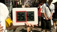 真夏日733地点で今年最多に　都内も35.1℃観測　初の熱中症警戒アラート　夜の熱中症にも要注意