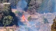 山林火災発生から一夜明けるも消火活動続く　焼失面積8ヘクタール「あんなところで煙が出ているのはおかしいと思った…2～3ｍくらい（炎が）あがった」